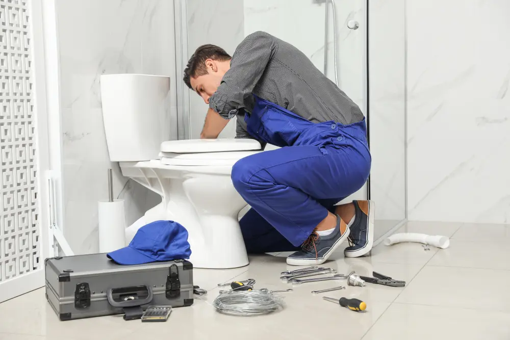 Toilet Installation in Westgate